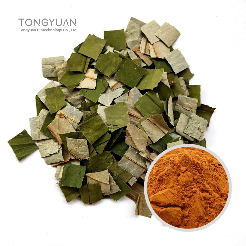 lotus leaf extract-1