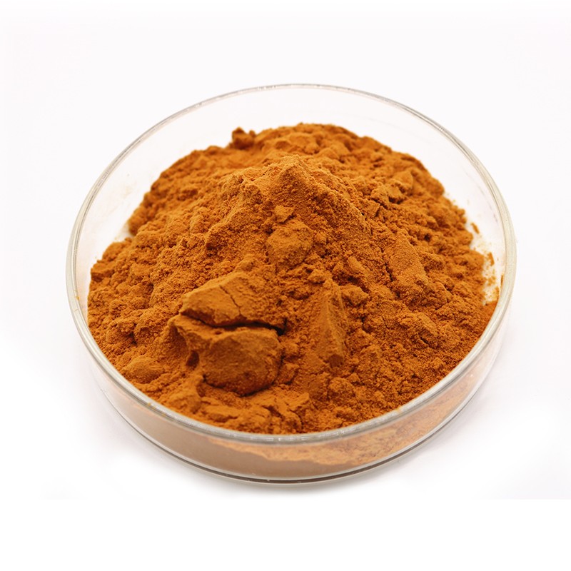 lotus leaf extract-3