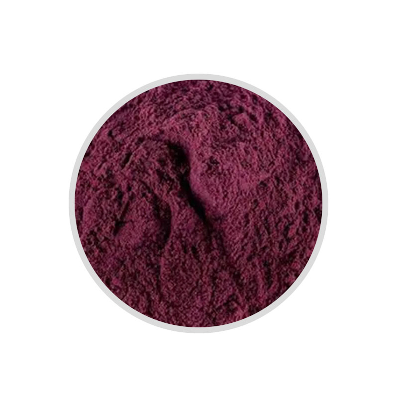 黑果腺肋花楸果提取物