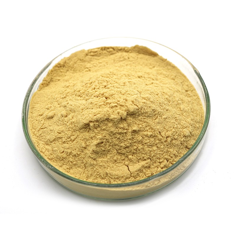 西洋參提取物 (3)