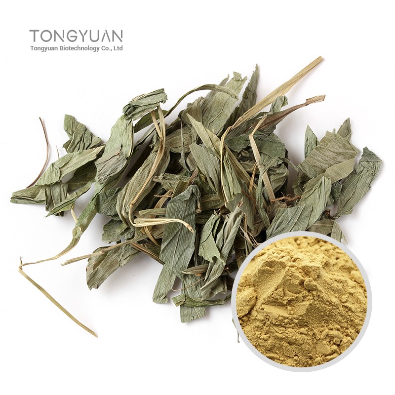 淡竹葉提取物 (1)