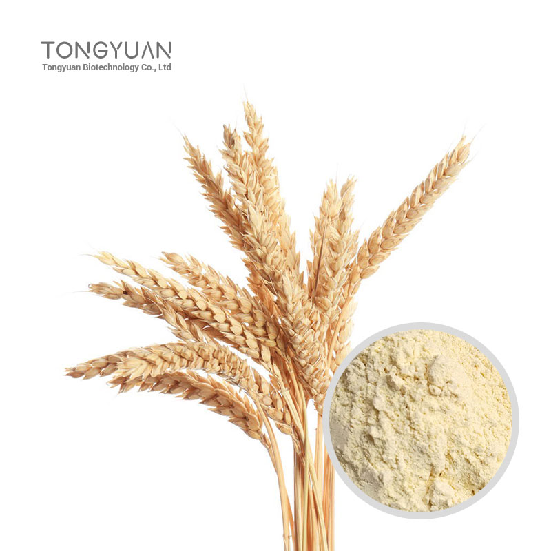 小麥蛋白